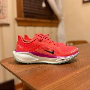 Nike Pegasus 41 Red & Green Gore-Tex Running ReactX Foam Athletic Shoes Men’s 10